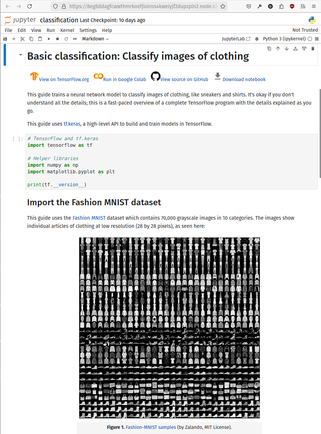 Jupyter Notebook